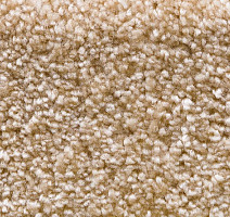 Ковролин AW Masquerade Dioniso 35 фото 1 | FLOORDEALER